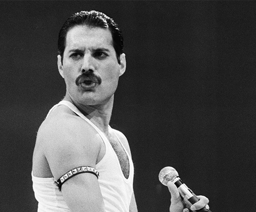 Freddie Mercury Survey